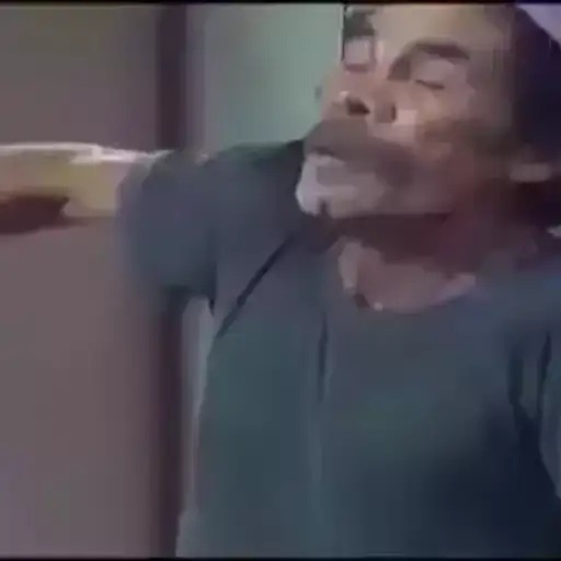 Reações Engraçadas — 4